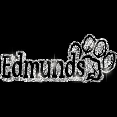 GLT17 SILVER GLITTER Thumbnail