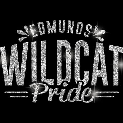 GLT62 SILVER GLITTER Thumbnail